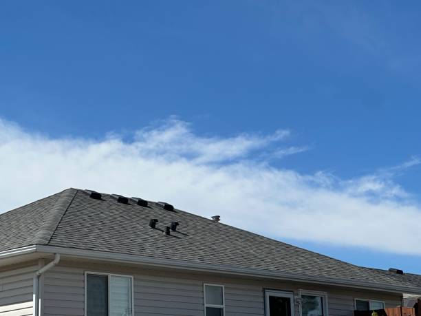 Hot Roofs in Paradise Valley, AZ